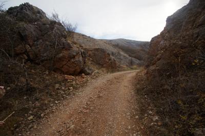 Прикрепленное изображение: A58DSC01734-1.jpg